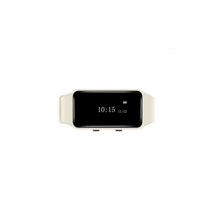 Влагозащищённый пейджер персонала IBELLS 67W (русский интерфейс) - изображение 2